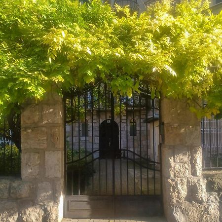 Parkside Large Modern Garden View Apartment Budapest Bagian luar foto